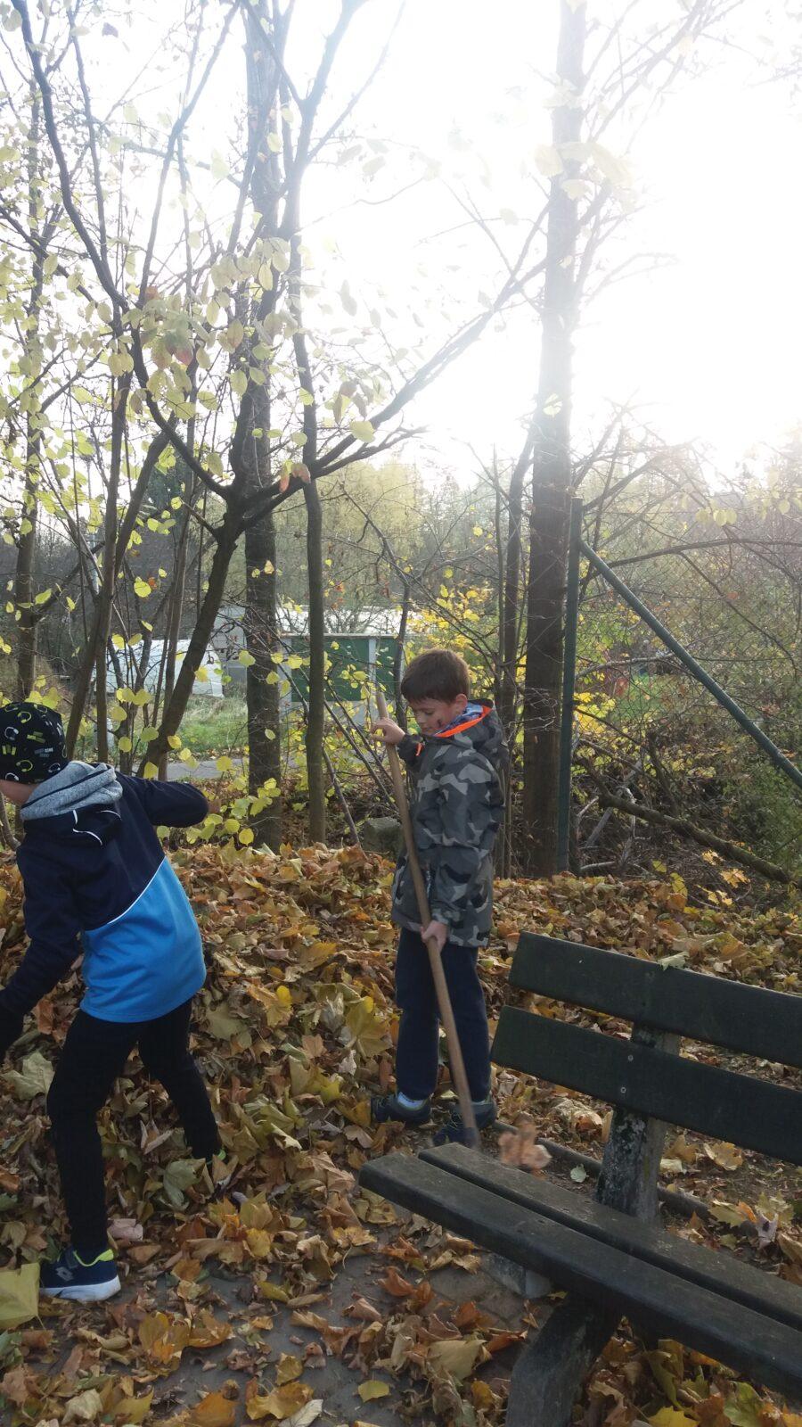 Podzimní dny , 2. oddělení - 37