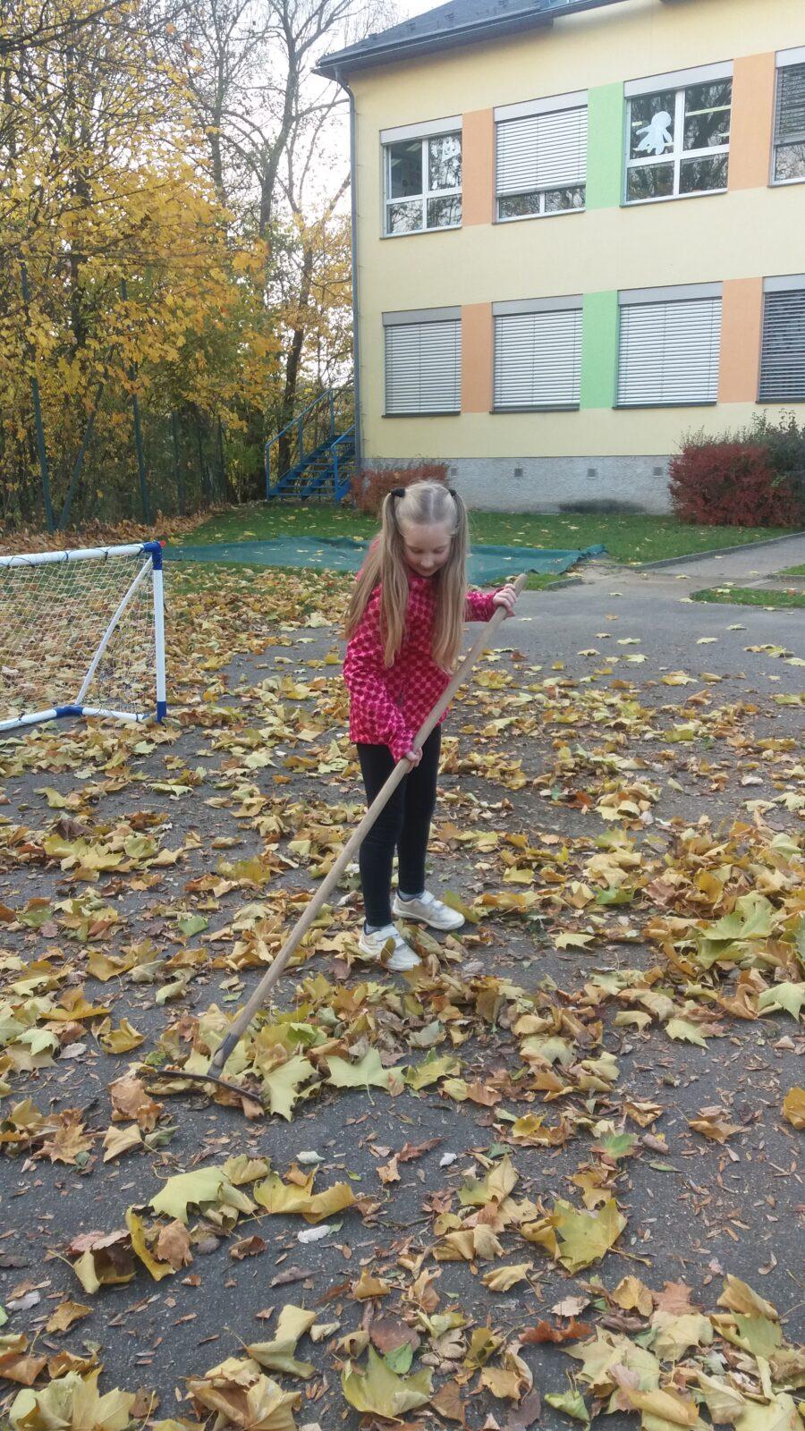 Podzimní dny , 2. oddělení - 38