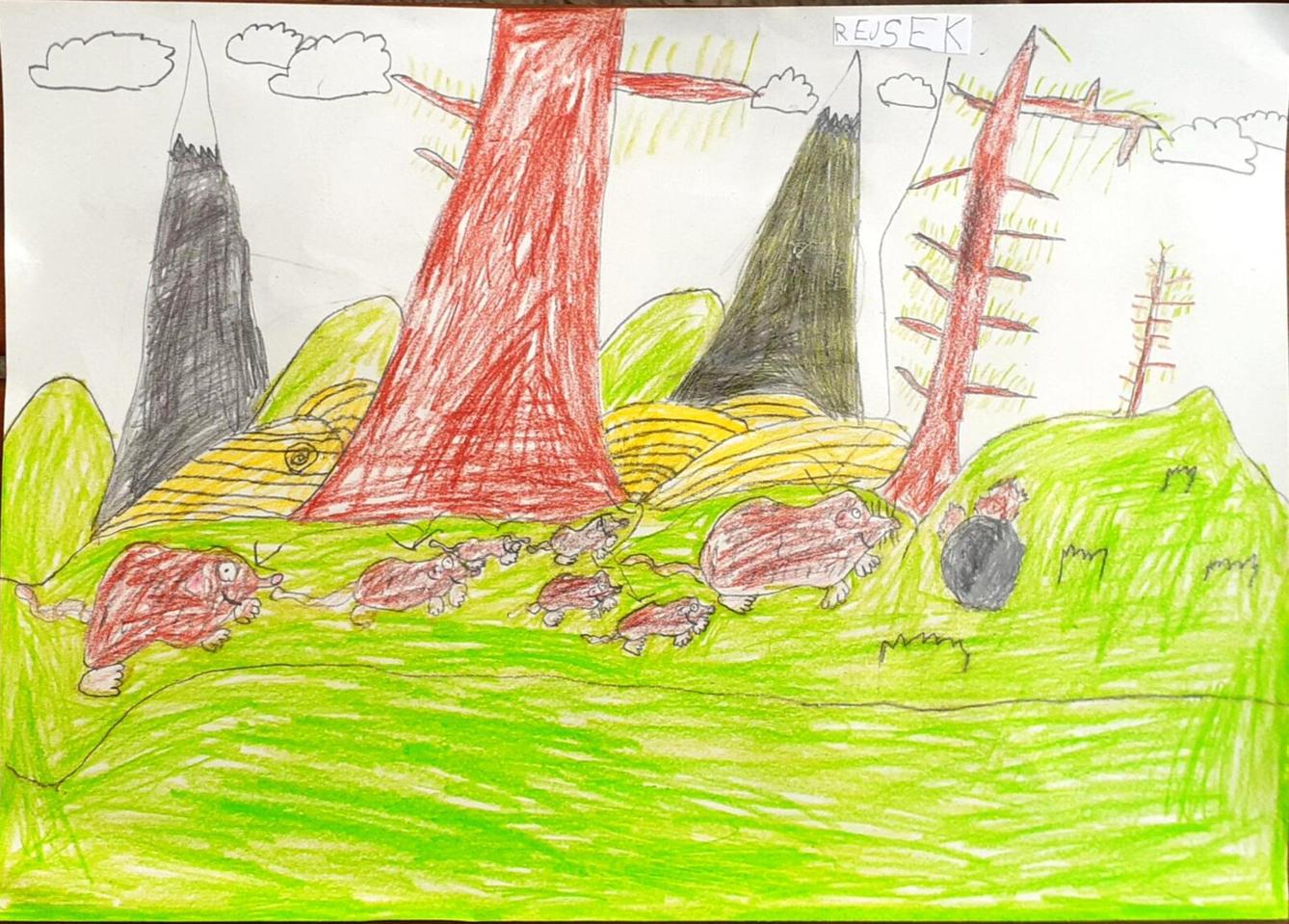 6. 3. Distanční výuka u prvňáčků - 11