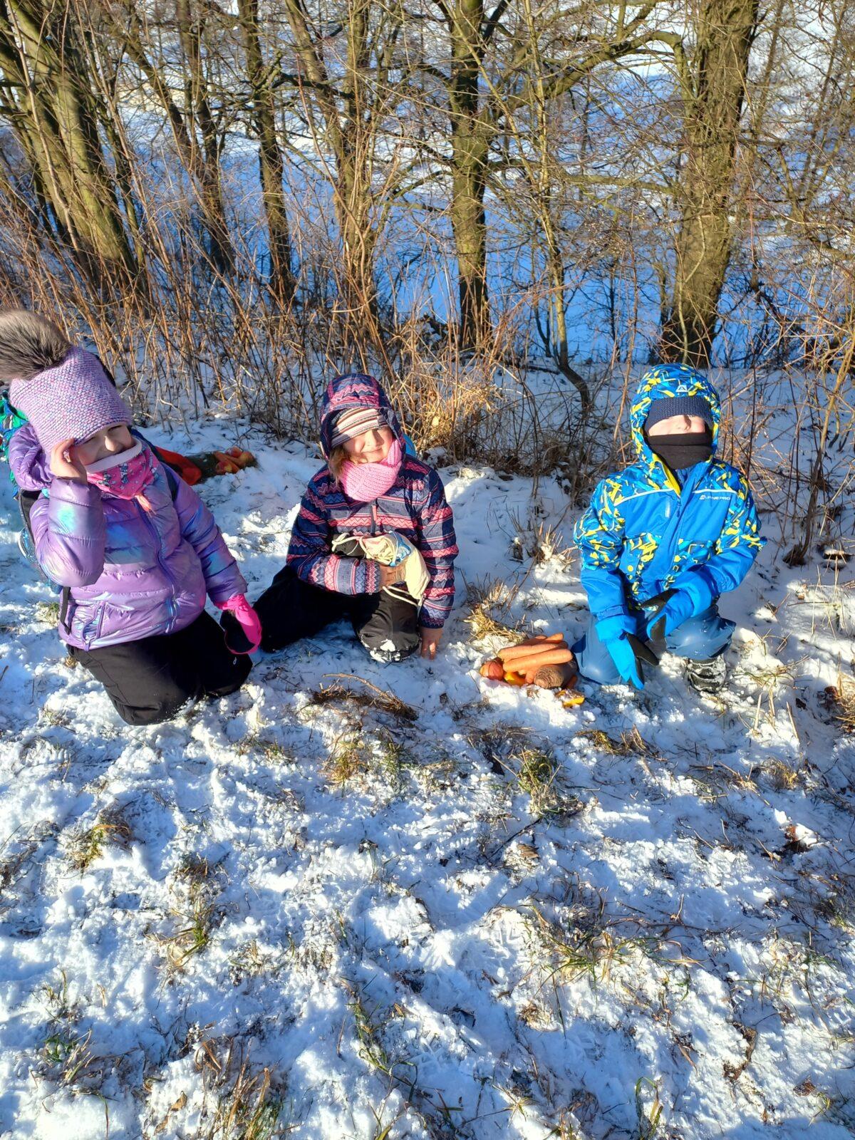 Opožděný "Vánoční les" v první třídě - 5