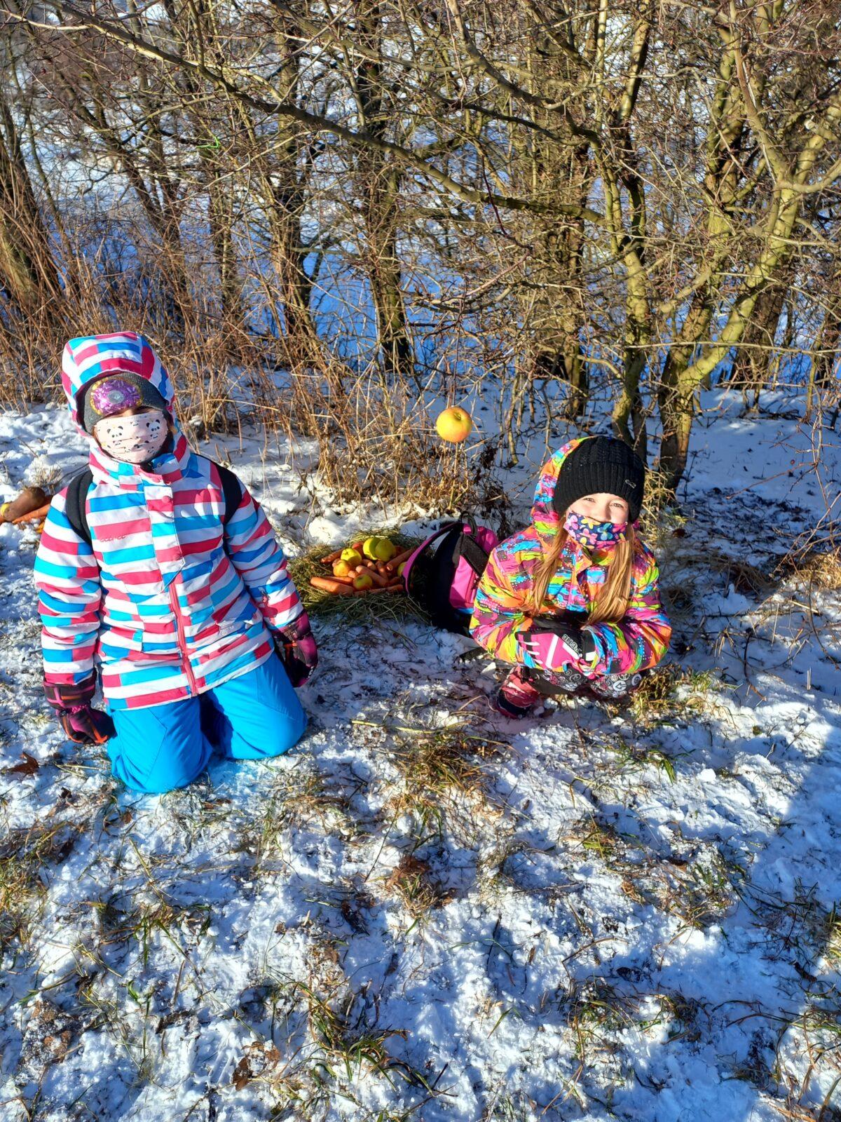 Opožděný "Vánoční les" v první třídě - 12