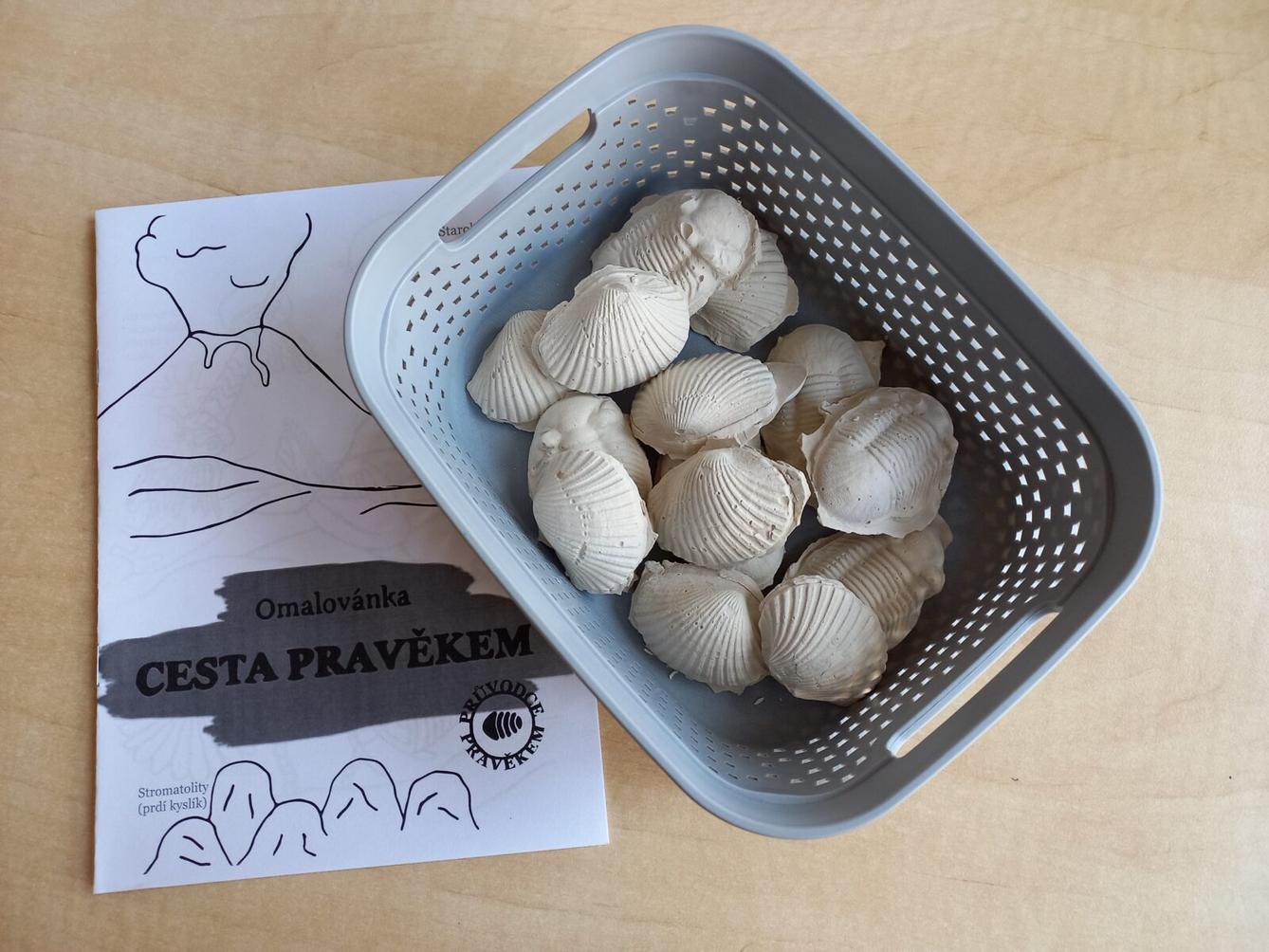 "Cesta do pravěku" v 1. třídě - 24