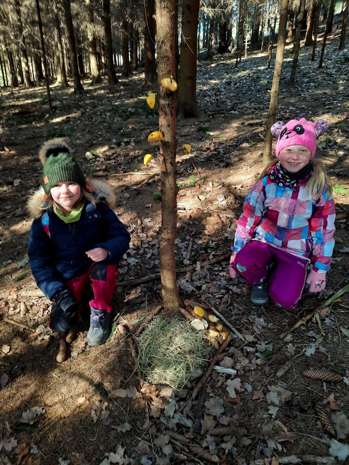 11. 3. Přírodovědná vycházka do lesa, 2. třída - 9