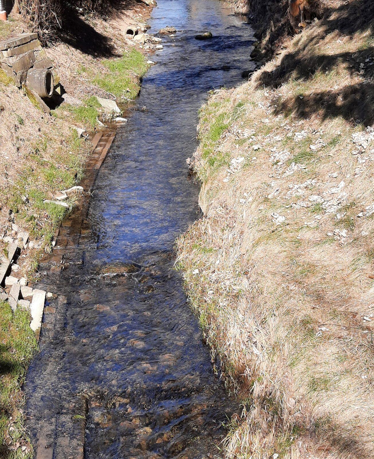 11. 3. Přírodovědná vycházka do lesa, 2. třída - 14