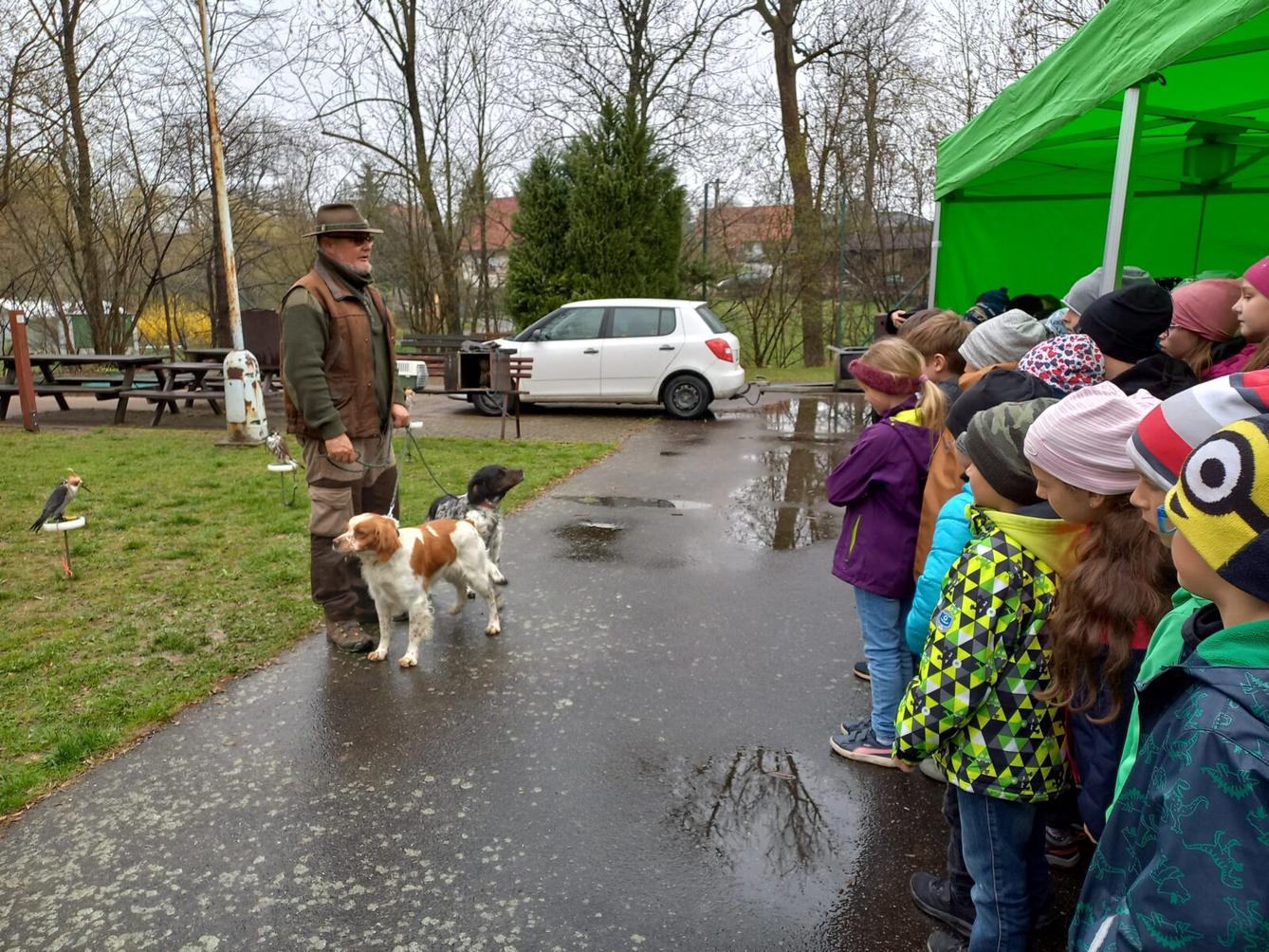 Ukázka dravců na 1. stupni - 11