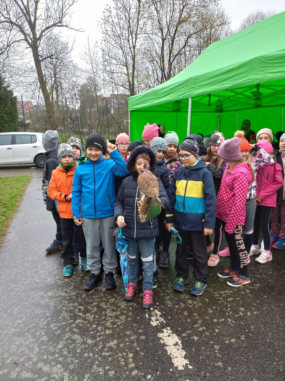 Ukázka dravců na 1. stupni - 13