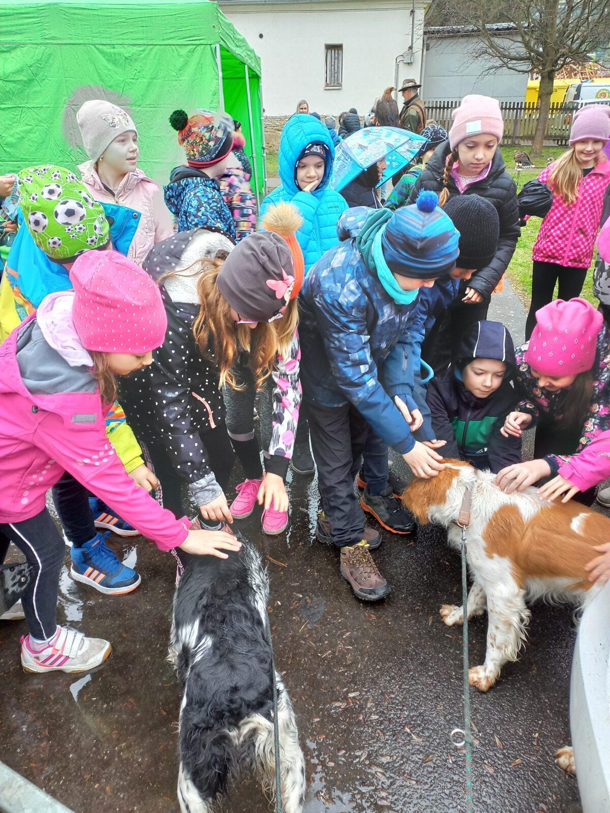 Ukázka dravců na 1. stupni - 16