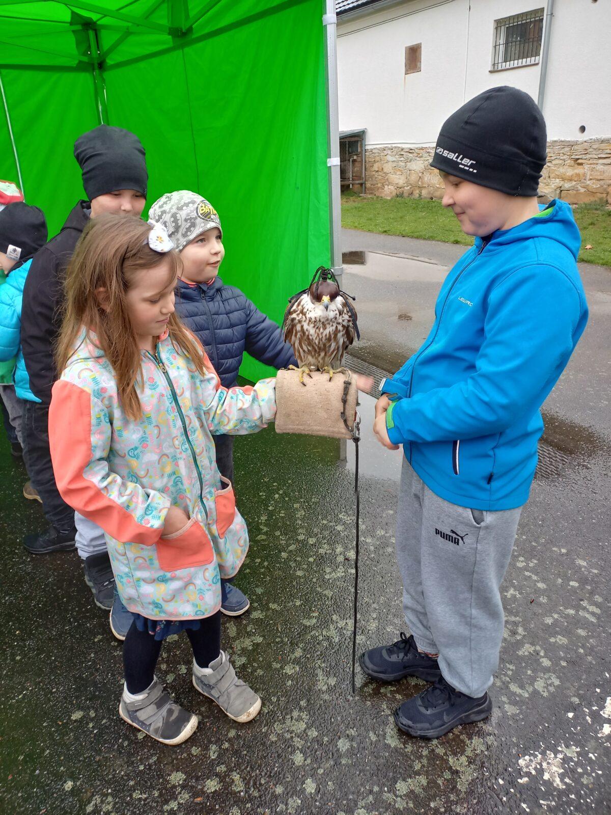 Ukázka dravců na 1. stupni - 18