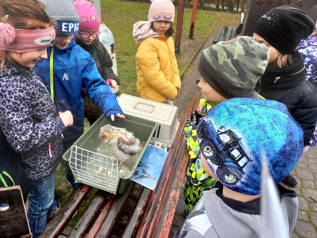 Ukázka dravců na 1. stupni - 23