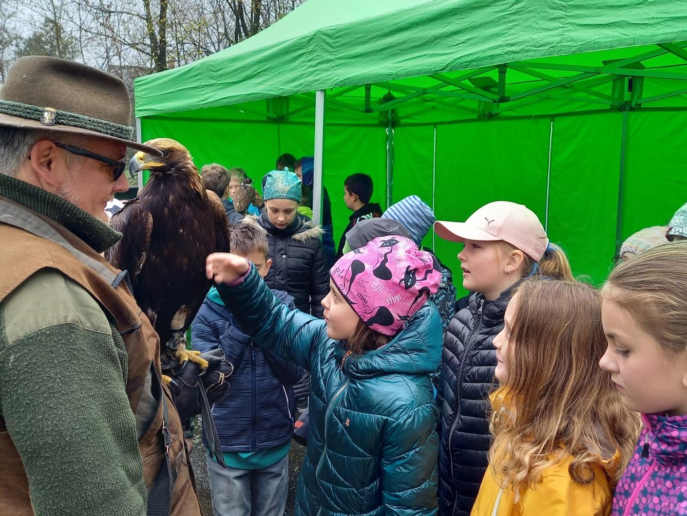 Ukázka dravců na 1. stupni - 25