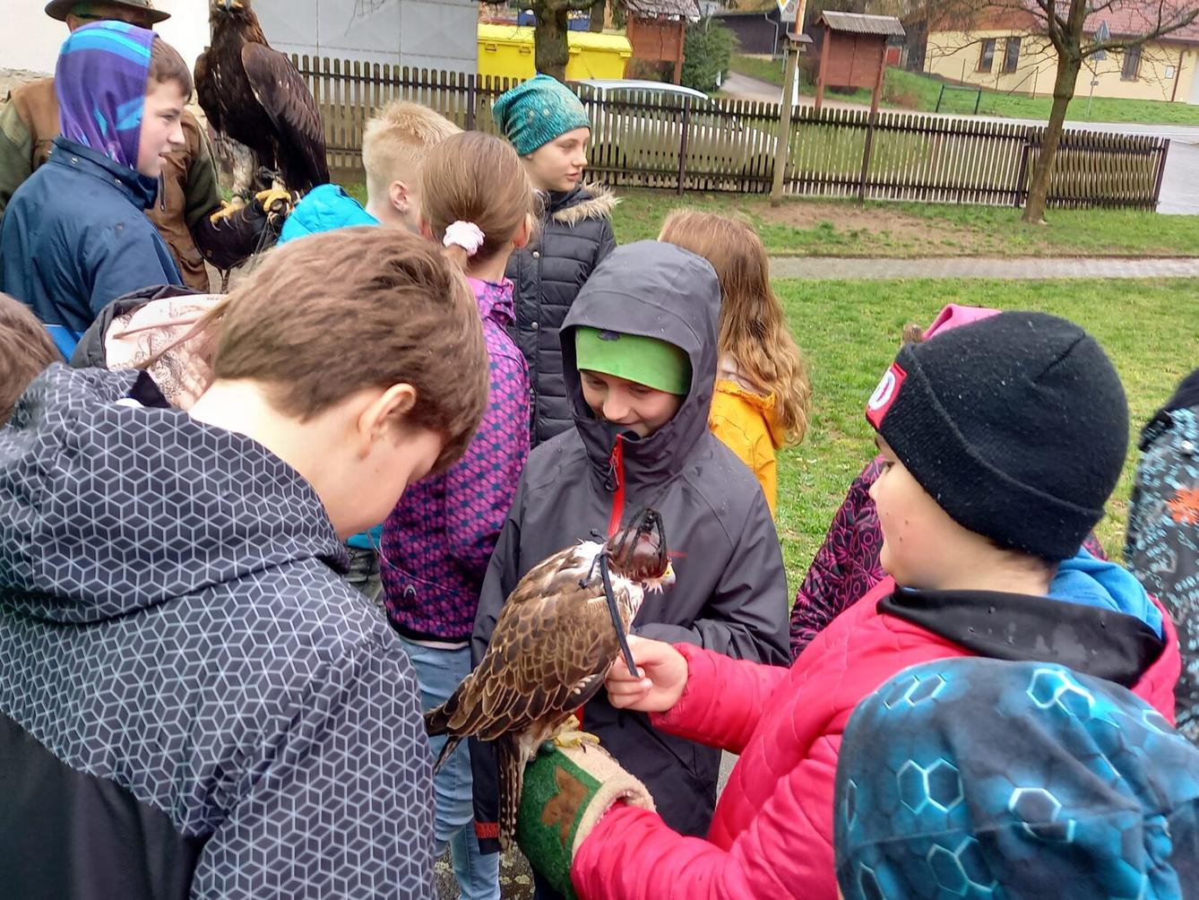 Ukázka dravců na 1. stupni - 26