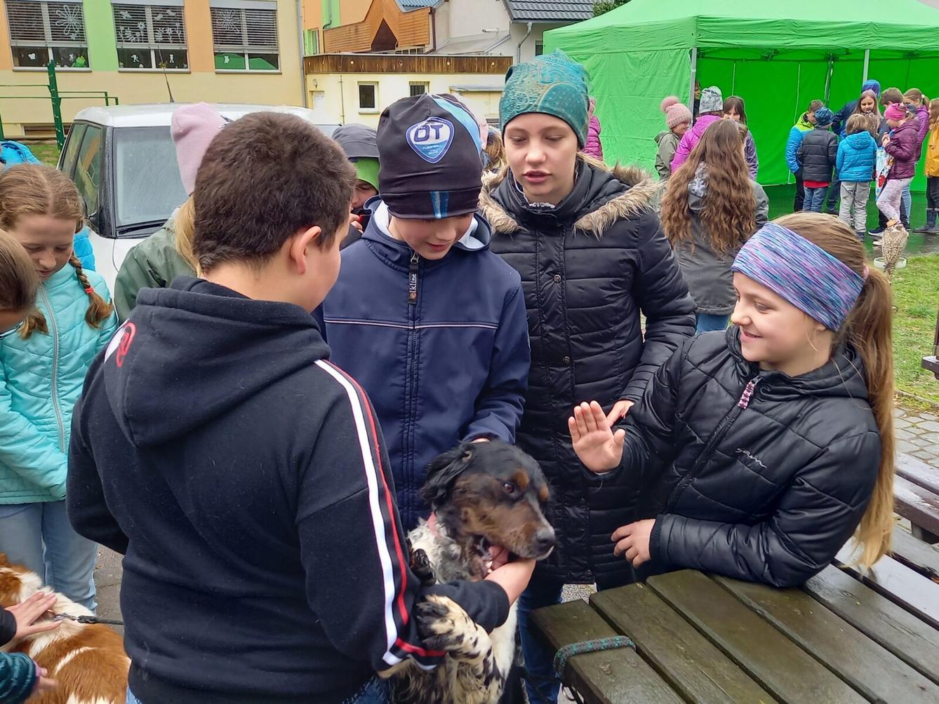 Ukázka dravců na 1. stupni - 27