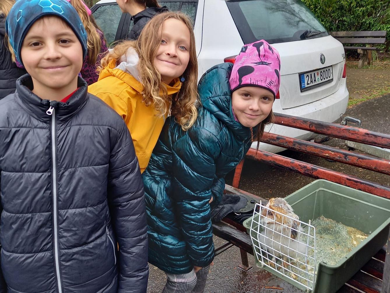 Ukázka dravců na 1. stupni - 28