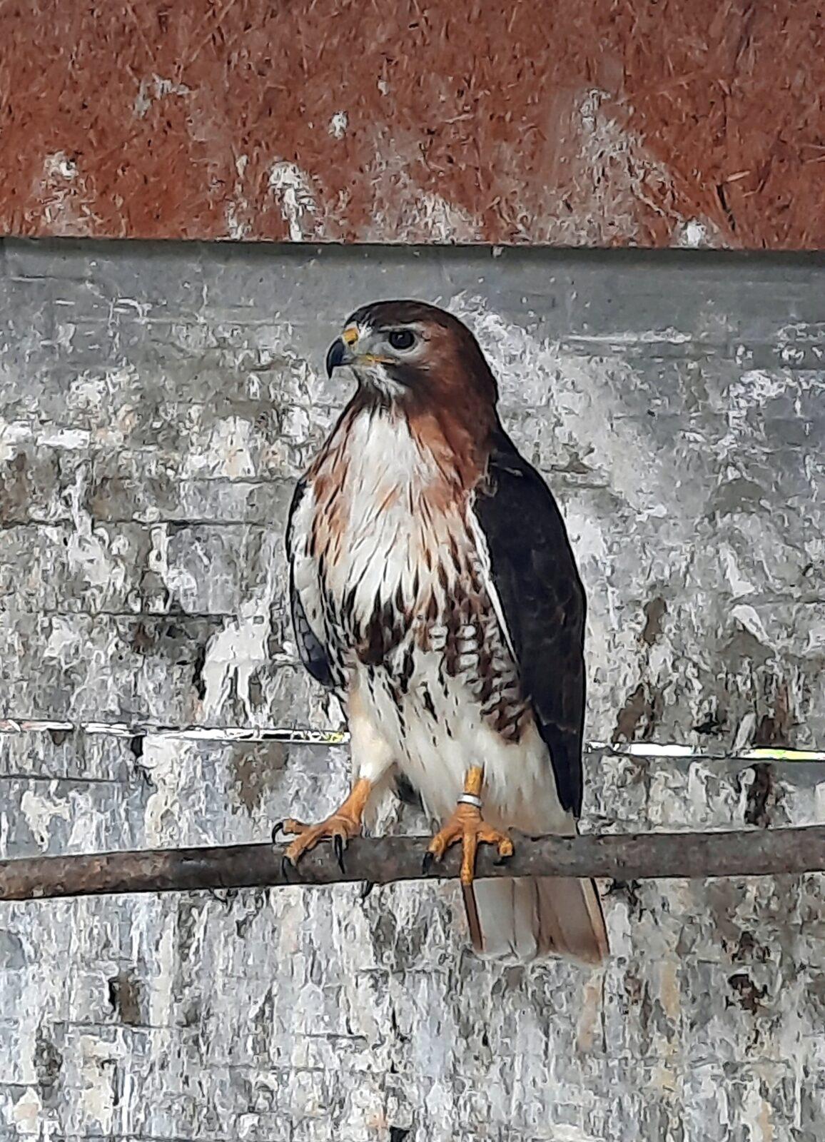 30. 5. Království sov a papoušků, 2. třída - 7