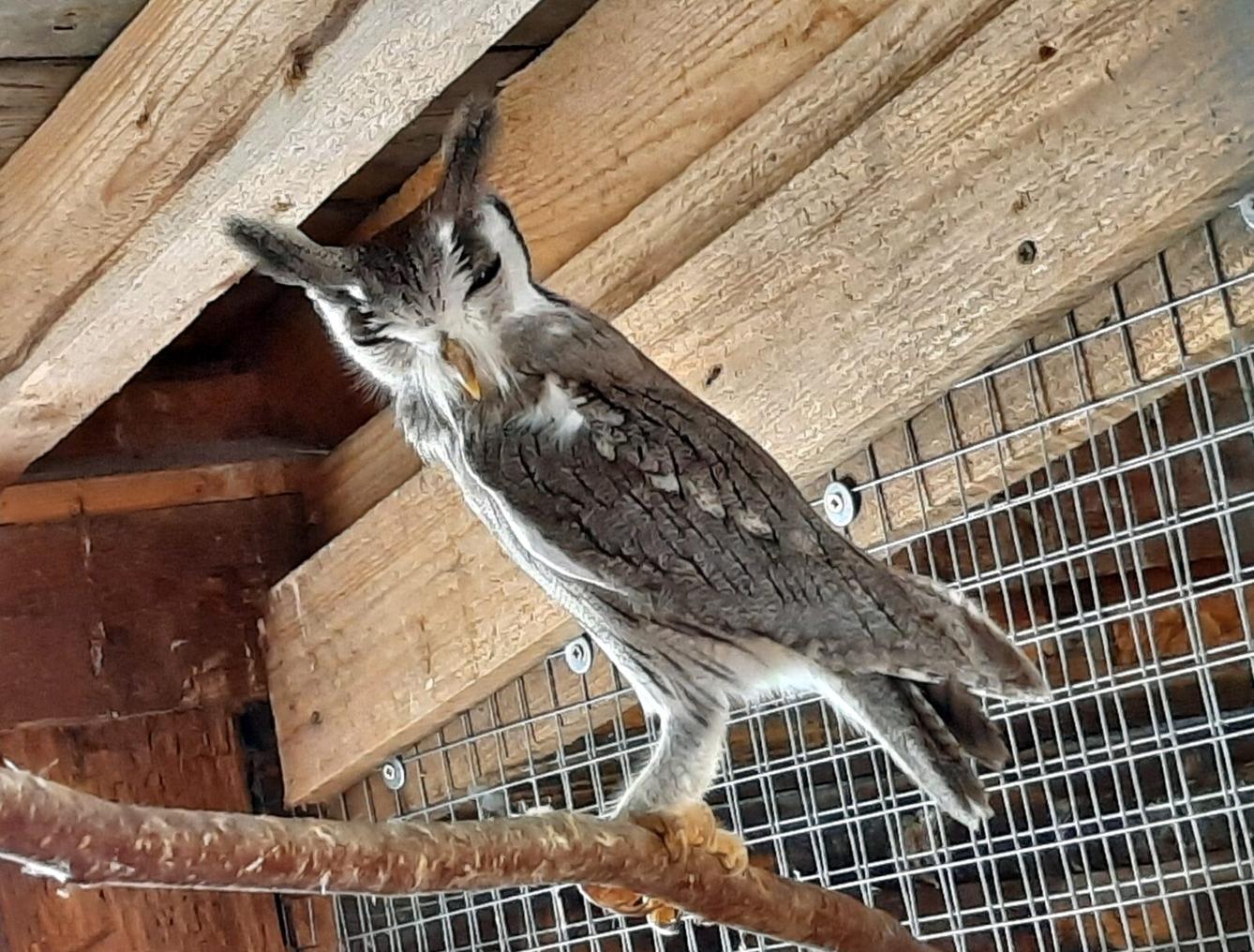 30. 5. Království sov a papoušků, 2. třída - 17