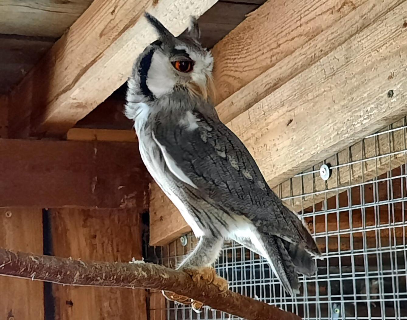 30. 5. Království sov a papoušků, 2. třída - 18