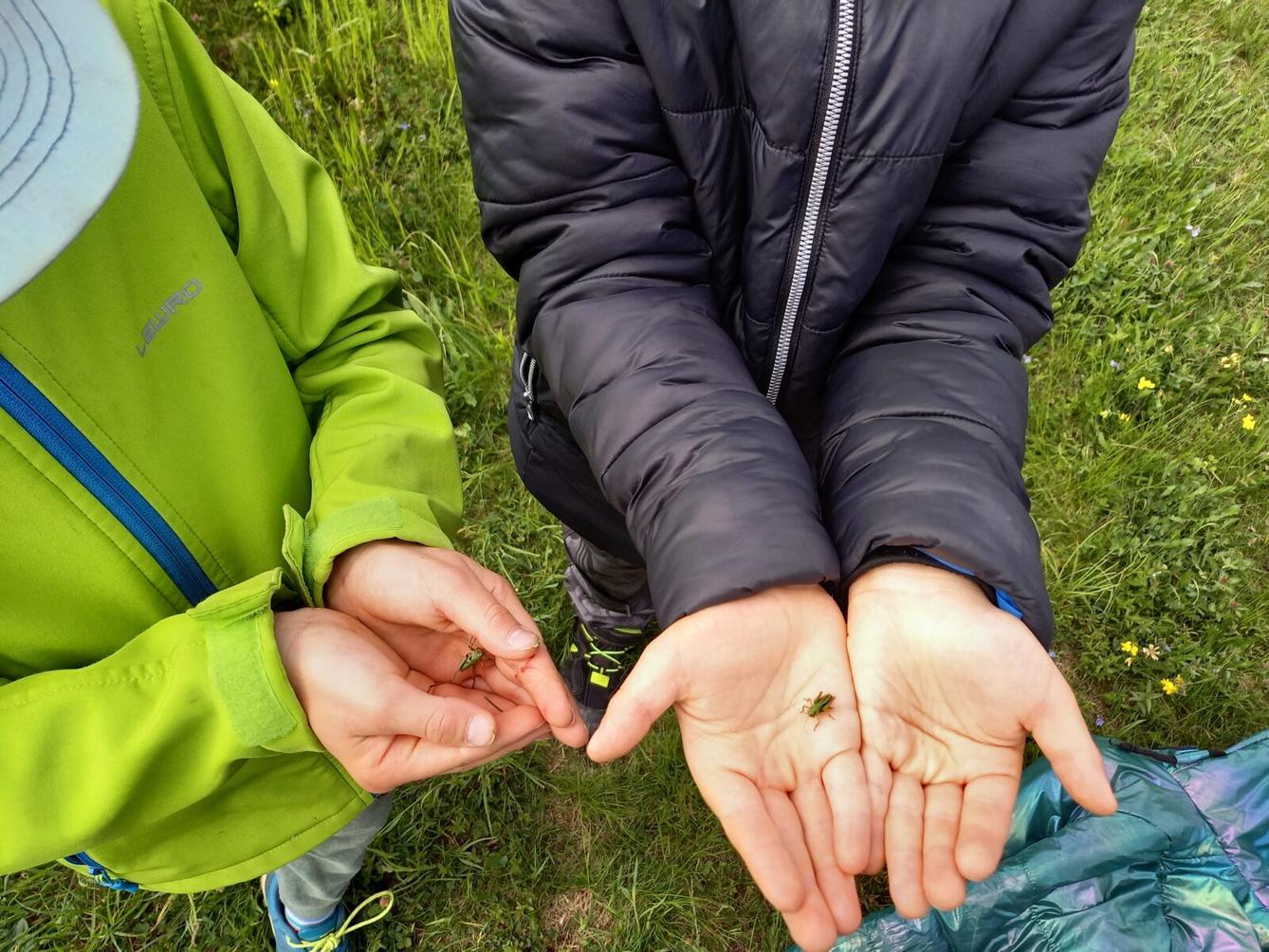 Škola v přírodě - den první - 27