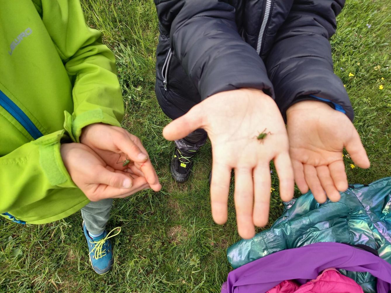 Škola v přírodě - den první - 28