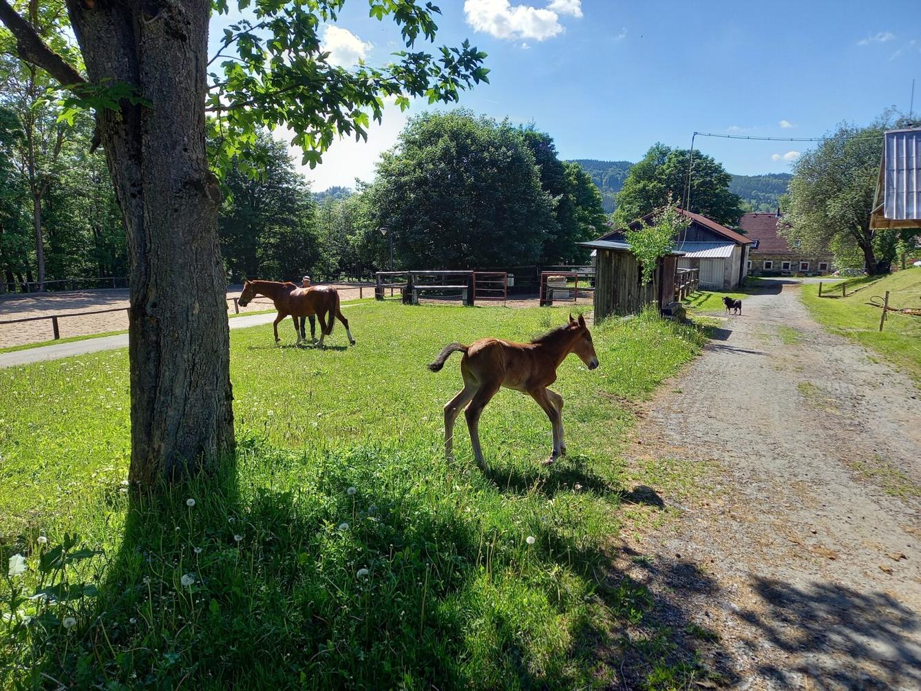 Škola v přírodě - den čtvrtý - 11