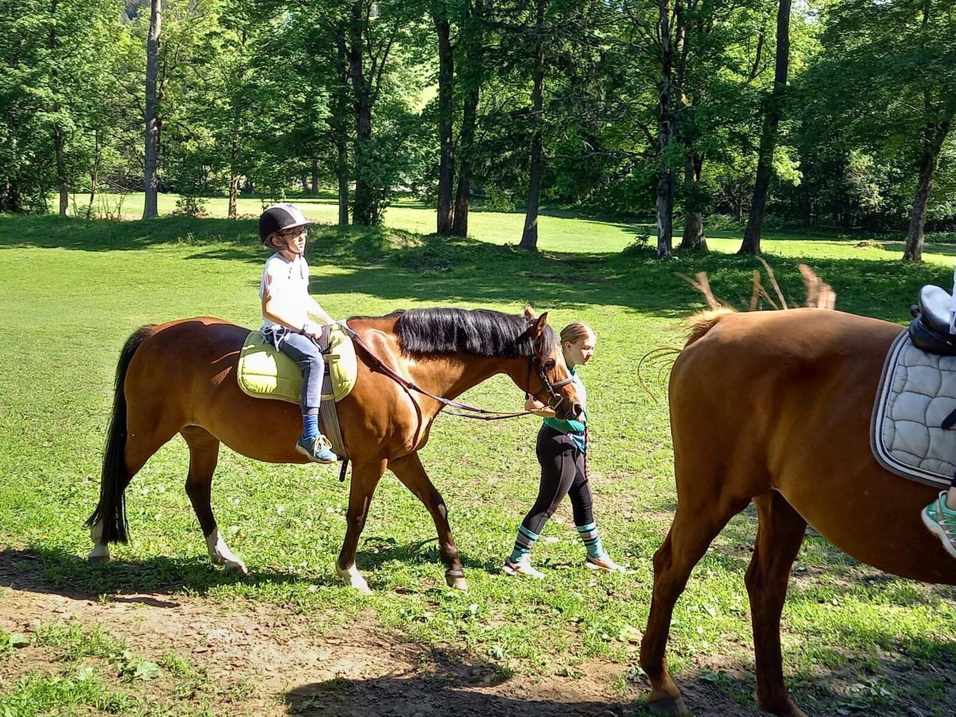 Škola v přírodě - den čtvrtý - 15