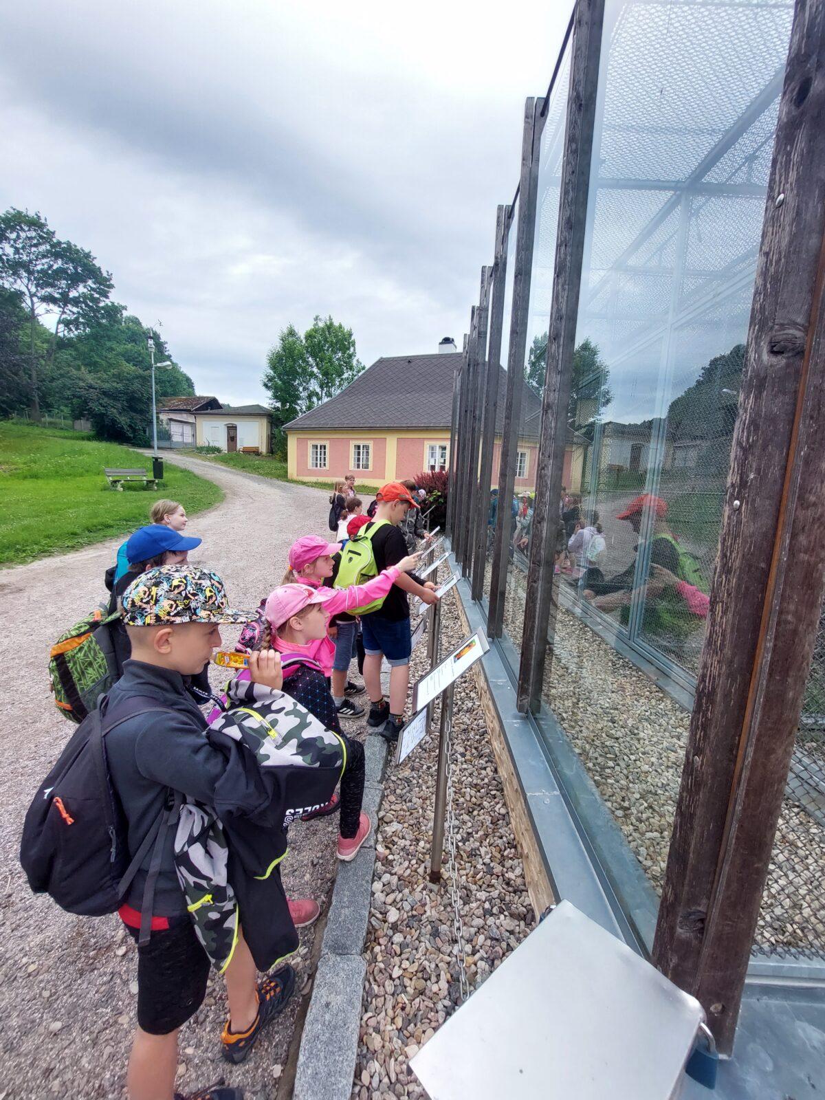 Třeťáci - školní výlet do SkiPi parku - 12