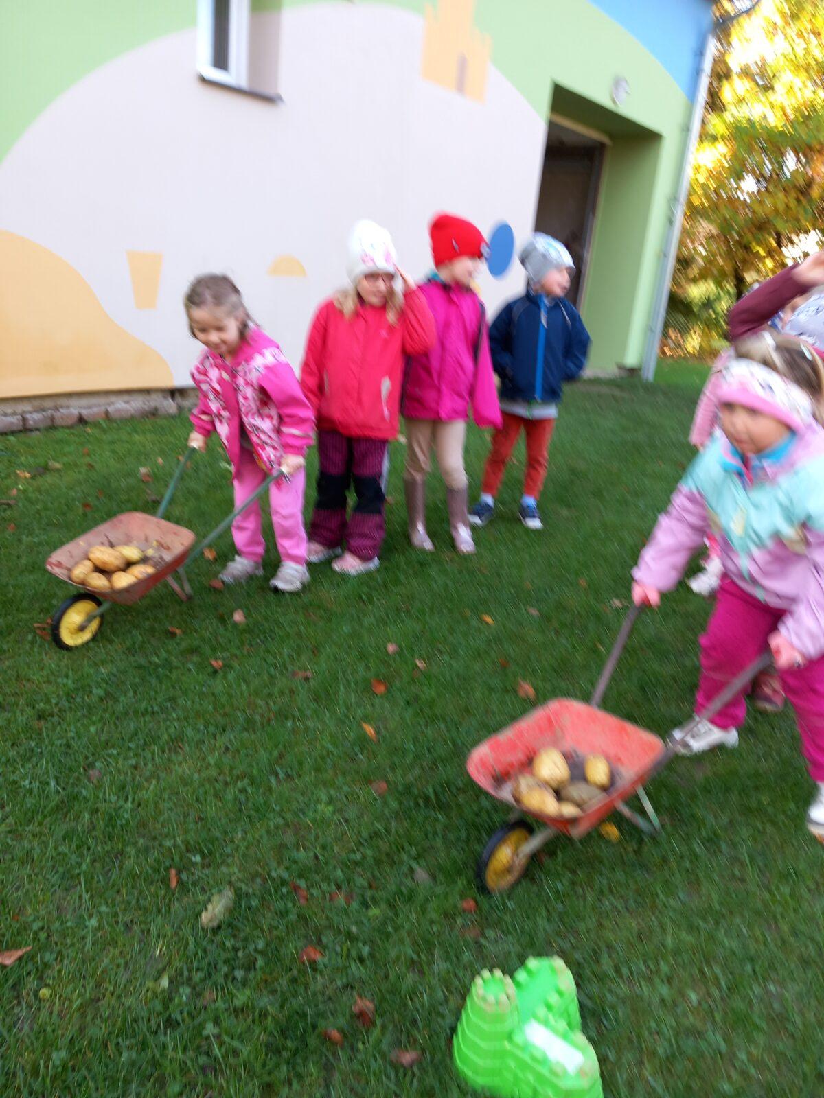 Bramborování 2022 - MŠ Korálek - 17