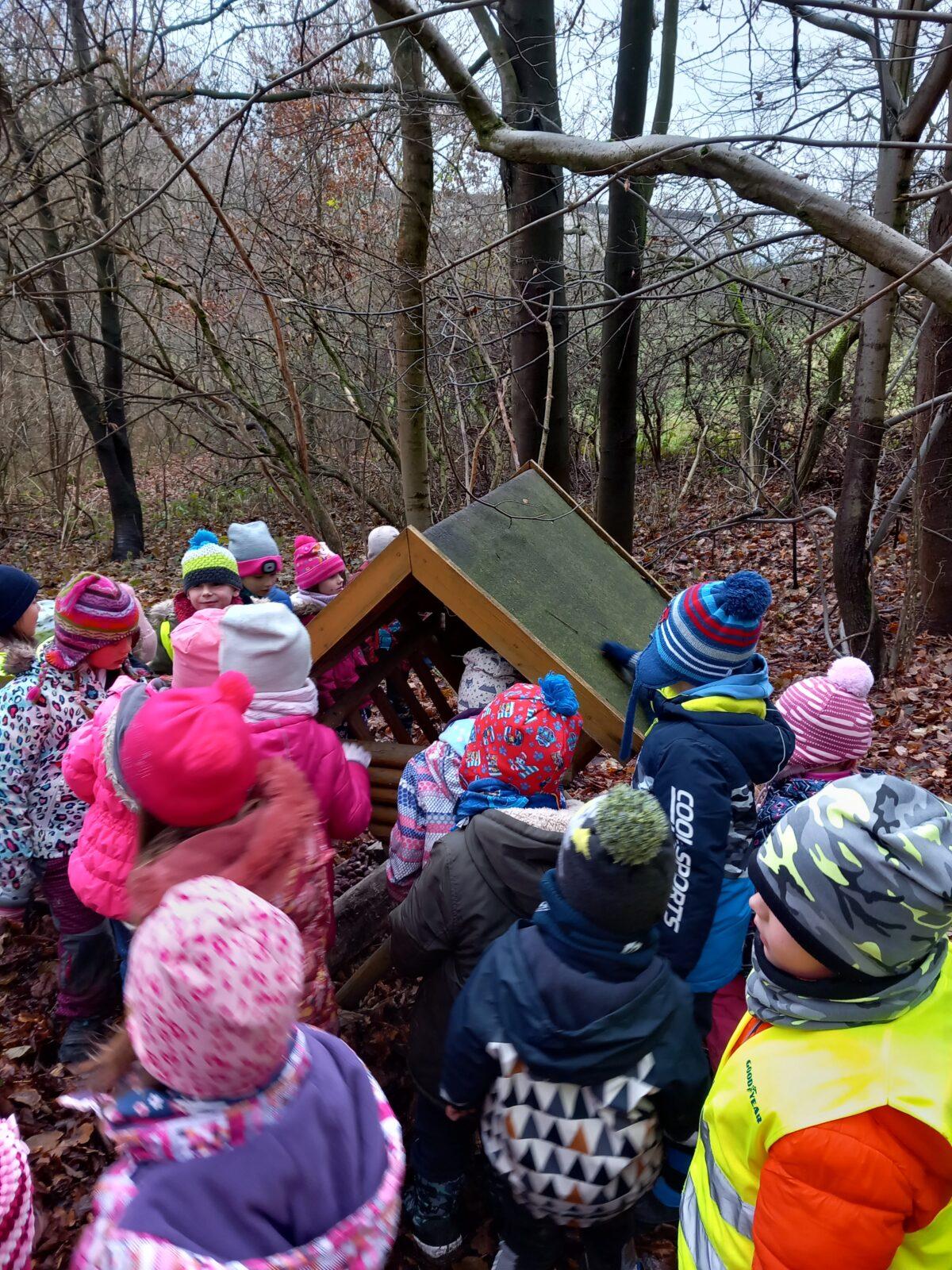 Krmení zvířátek aneb s kaštánky do lesa - 1