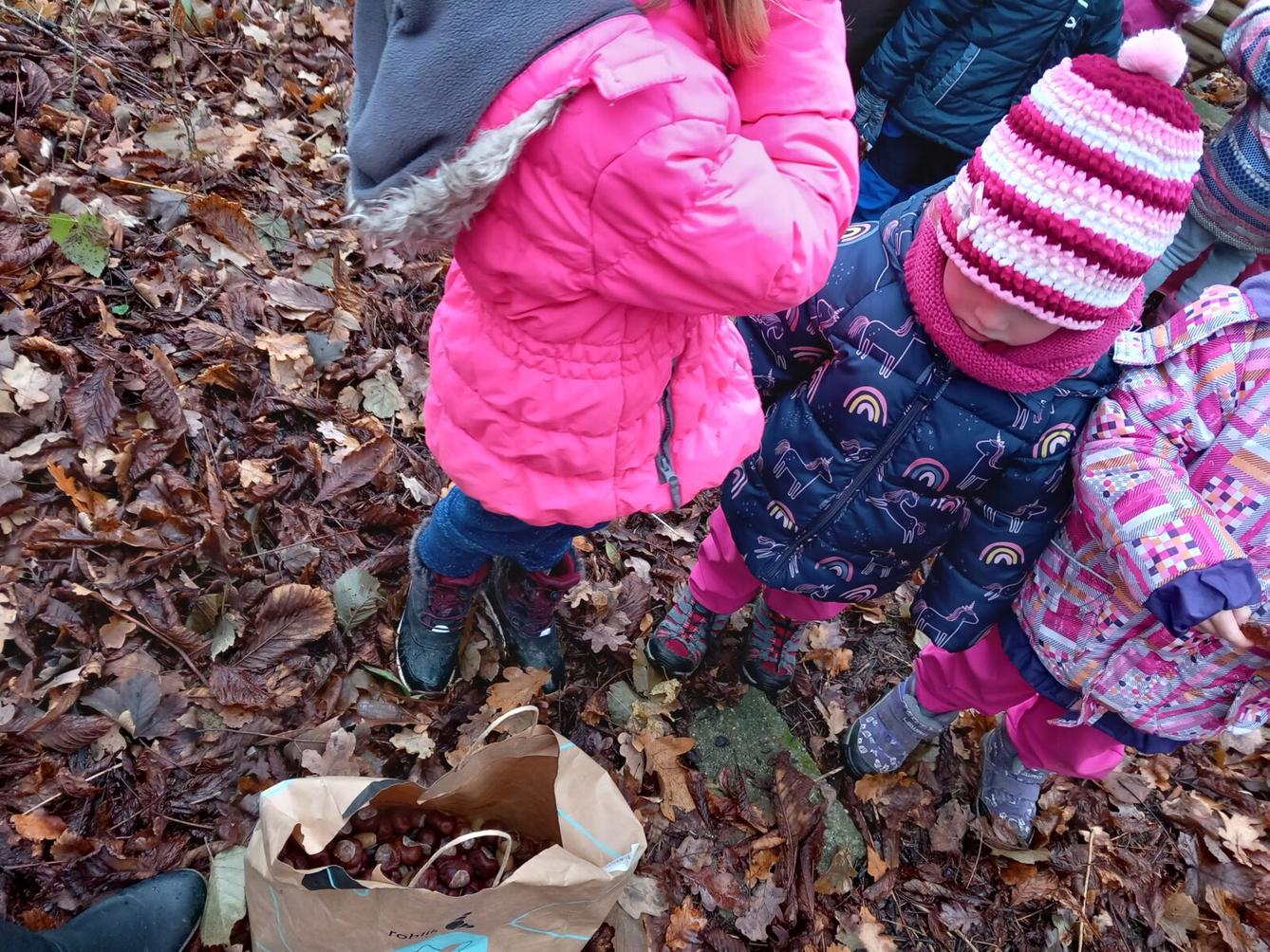 Krmení zvířátek aneb s kaštánky do lesa - 5