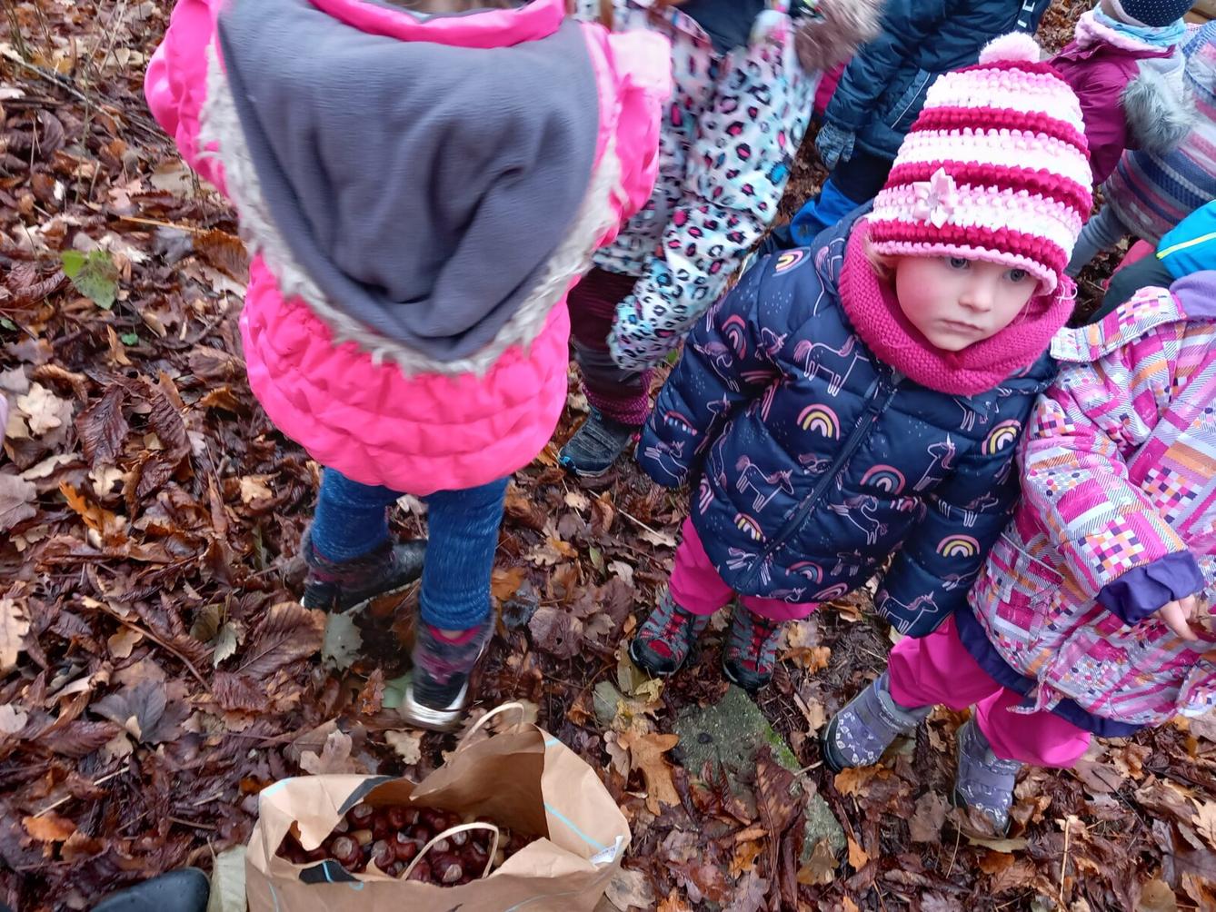 Krmení zvířátek aneb s kaštánky do lesa - 6