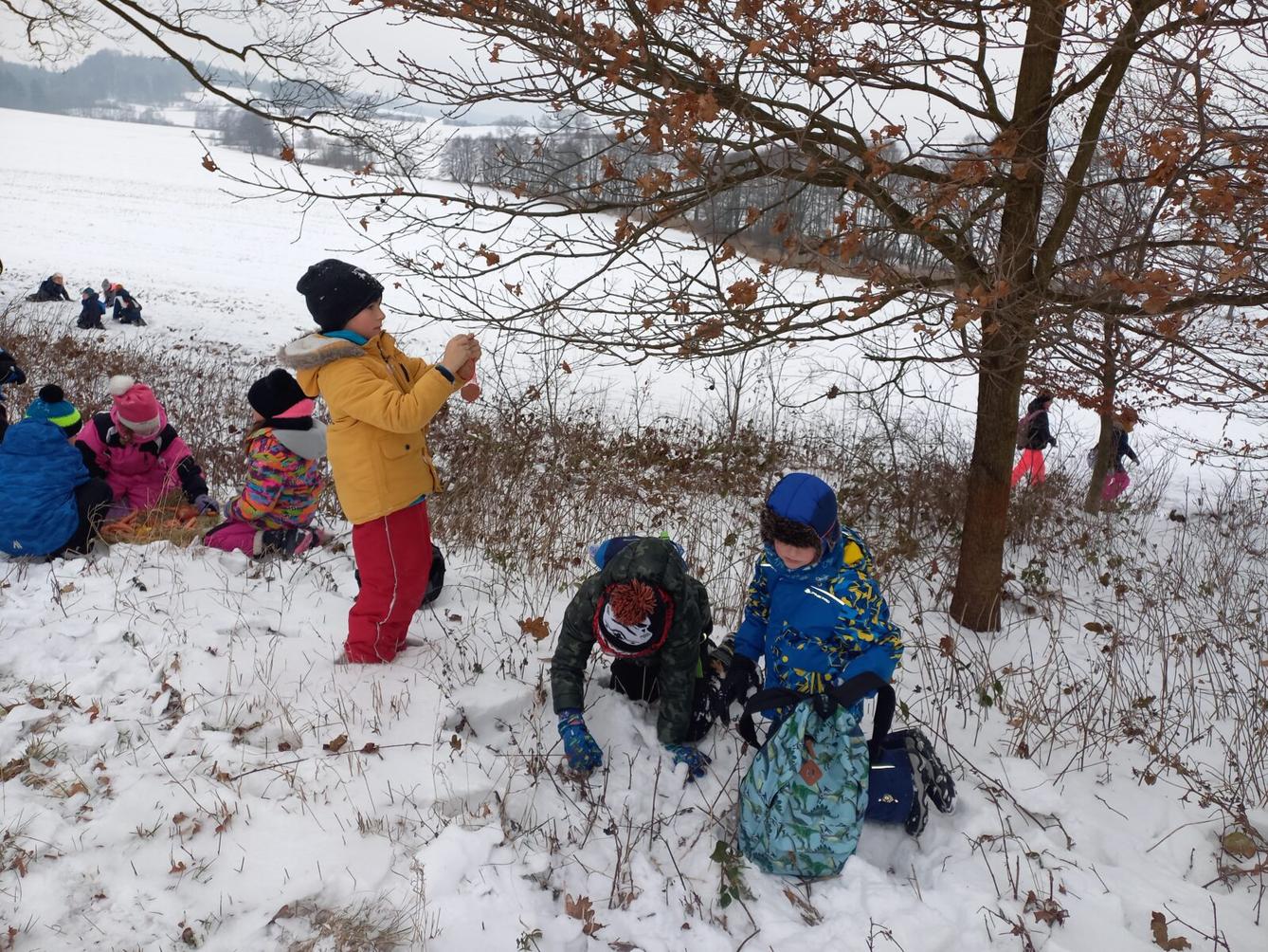 Vánoční les na 1. stupni - 7