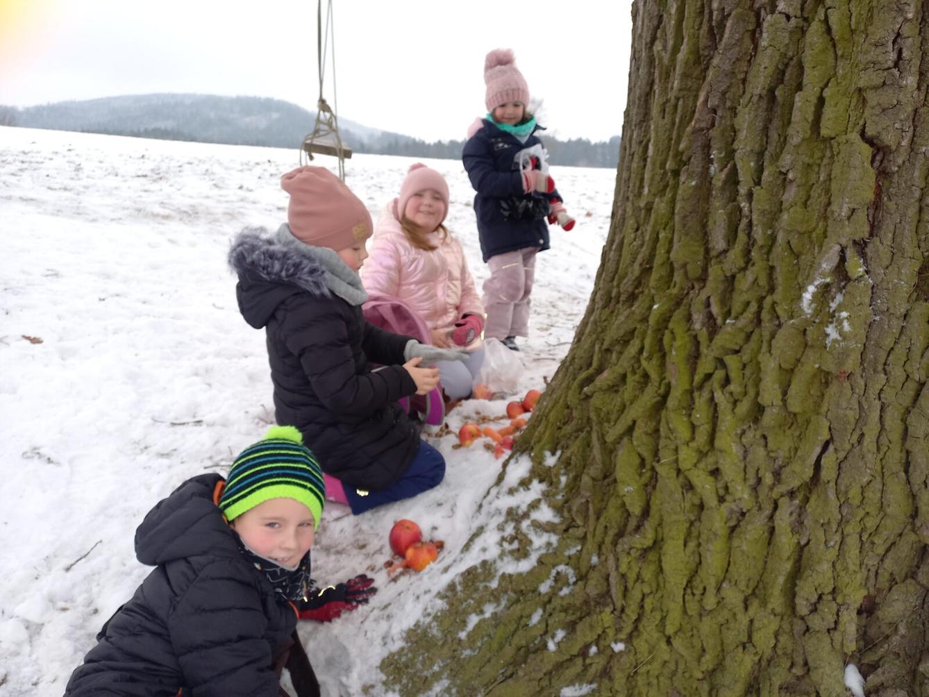 Vánoční les na 1. stupni - 8