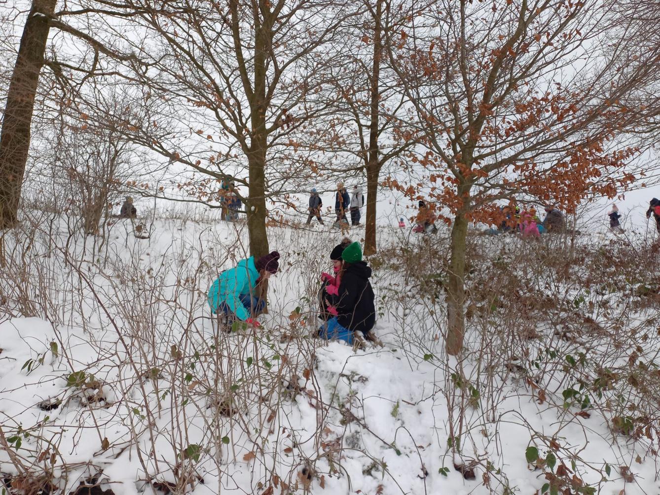 Vánoční les na 1. stupni - 9