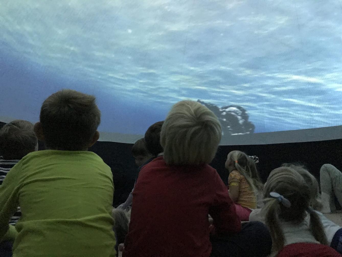 projektový den v MŠ - "Podmořský svět" I. - 15