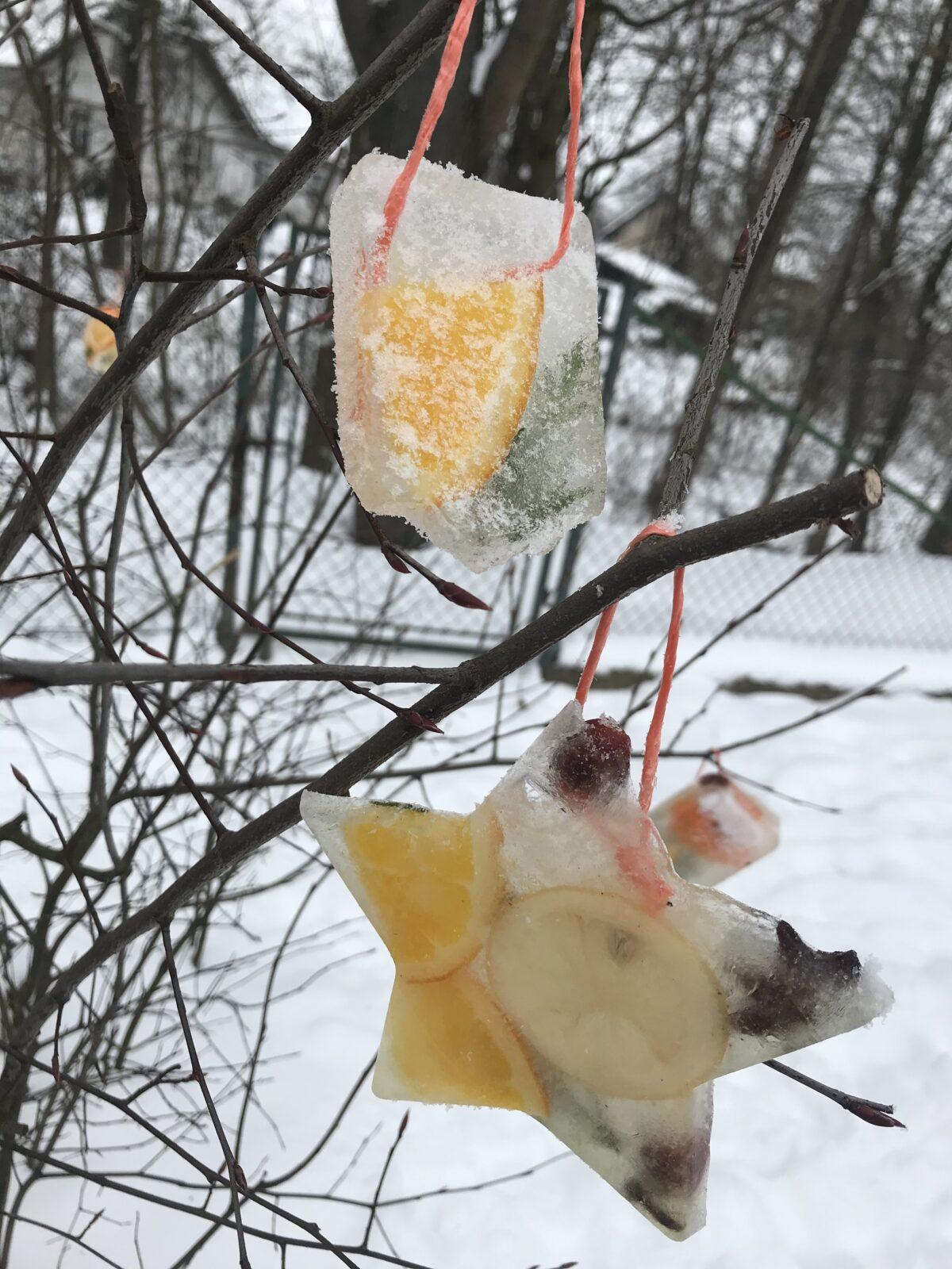 SOVIČKY: ,,VOŇAVÉ OZDOBY Z LEDU" - 16