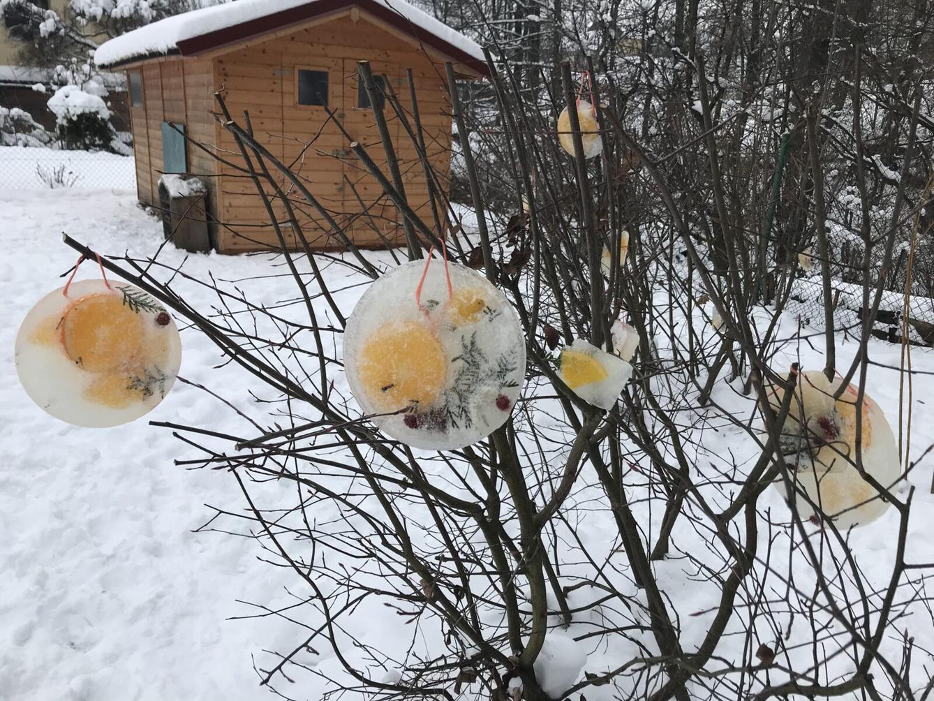 SOVIČKY: ,,VOŇAVÉ OZDOBY Z LEDU" - 17