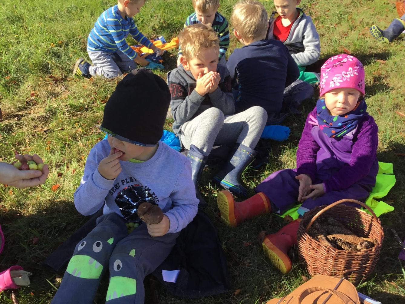 "Kam chodí broučci spát" - 17