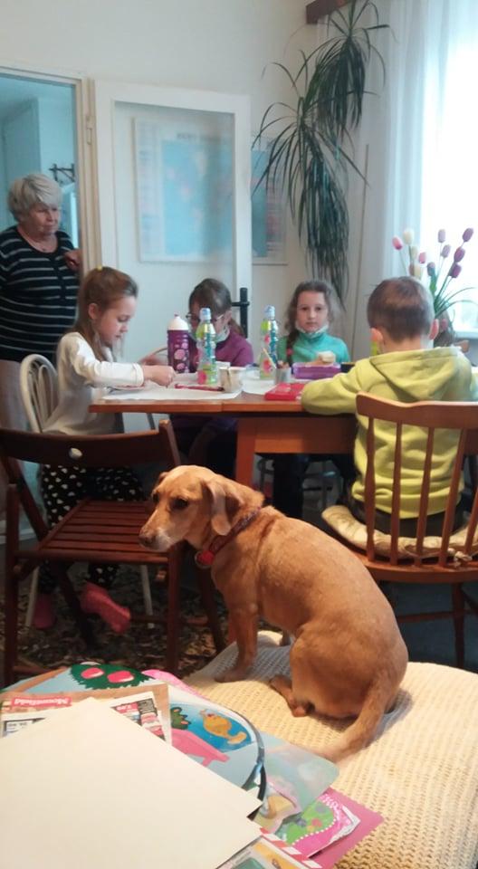 TLAPKY v Českė Třebové - 25