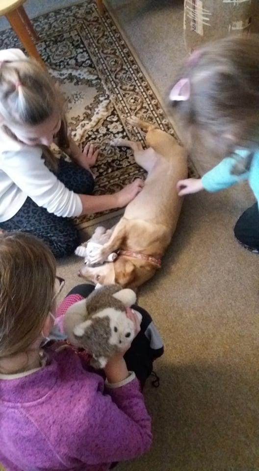 TLAPKY v Českė Třebové - 41