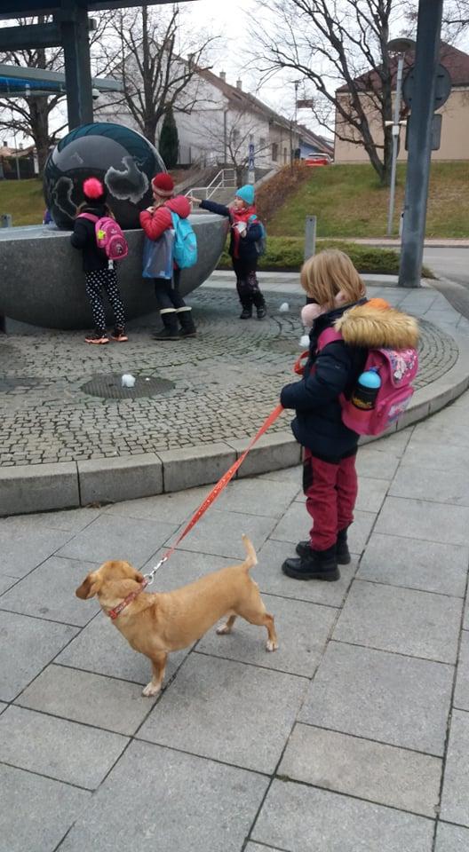 TLAPKY v Českė Třebové - 61