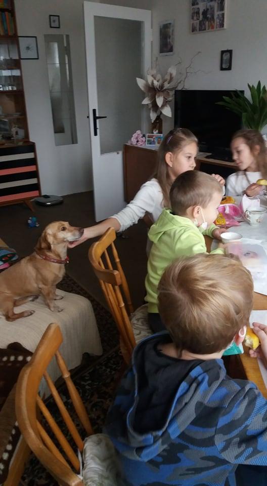 TLAPKY v Českė Třebové - 64