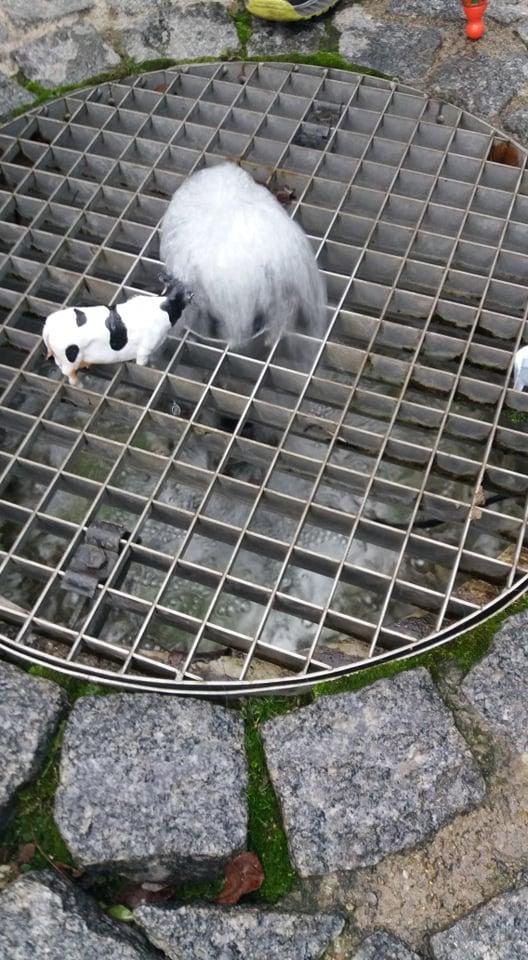 TLAPKY v Českė Třebové - 67