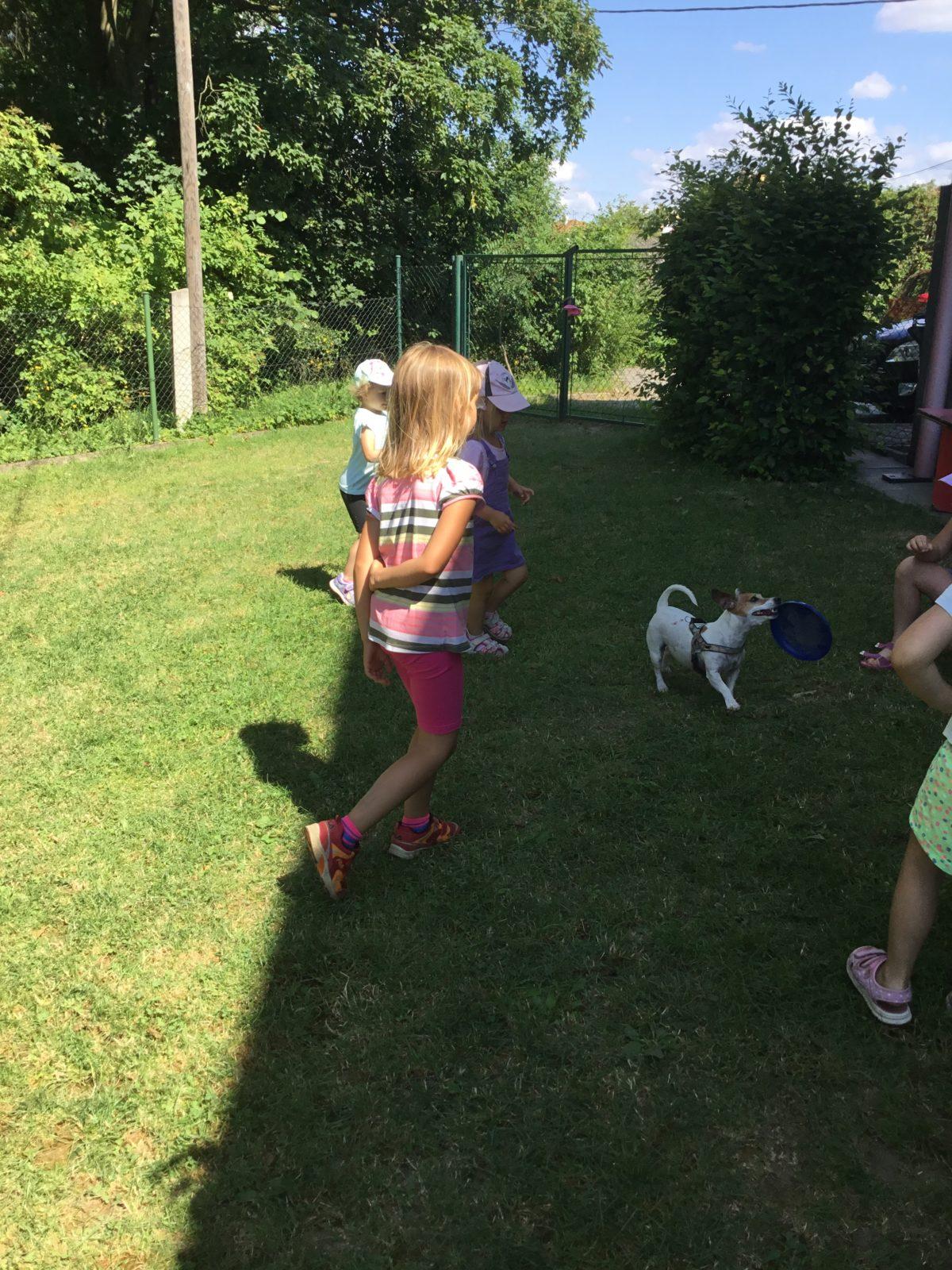 Vzpomínka na prázdniny - cvičení s pejskem - 3