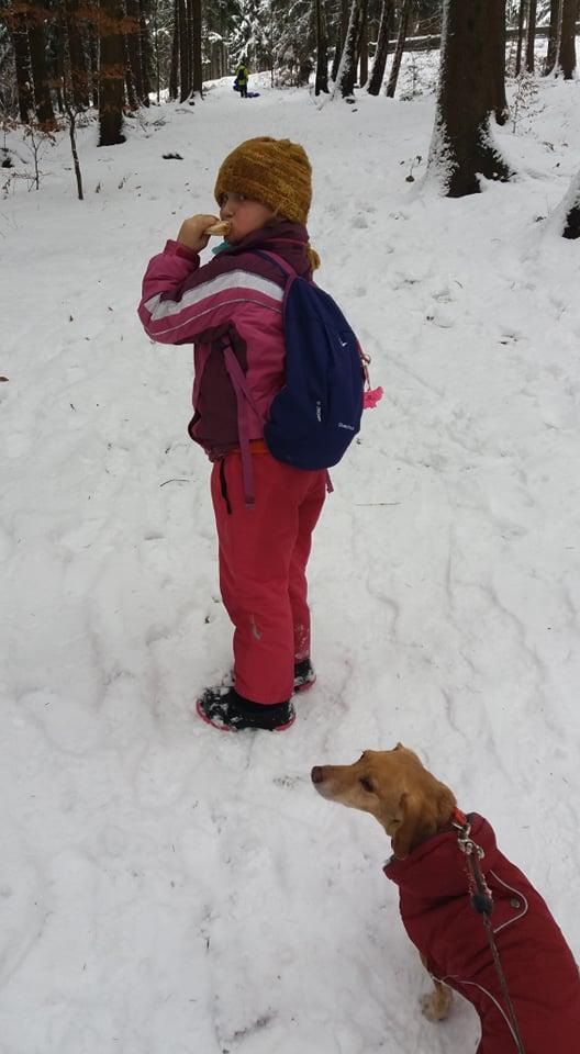 TLAPKY NA ANDRLOVĚ CHLUMU - 5