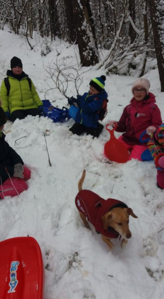 TLAPKY NA ANDRLOVĚ CHLUMU - 19