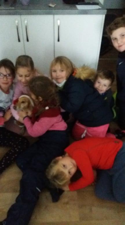 TLAPKY NA ANDRLOVĚ CHLUMU - 25