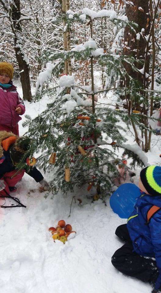 TLAPKY NA ANDRLOVĚ CHLUMU - 36