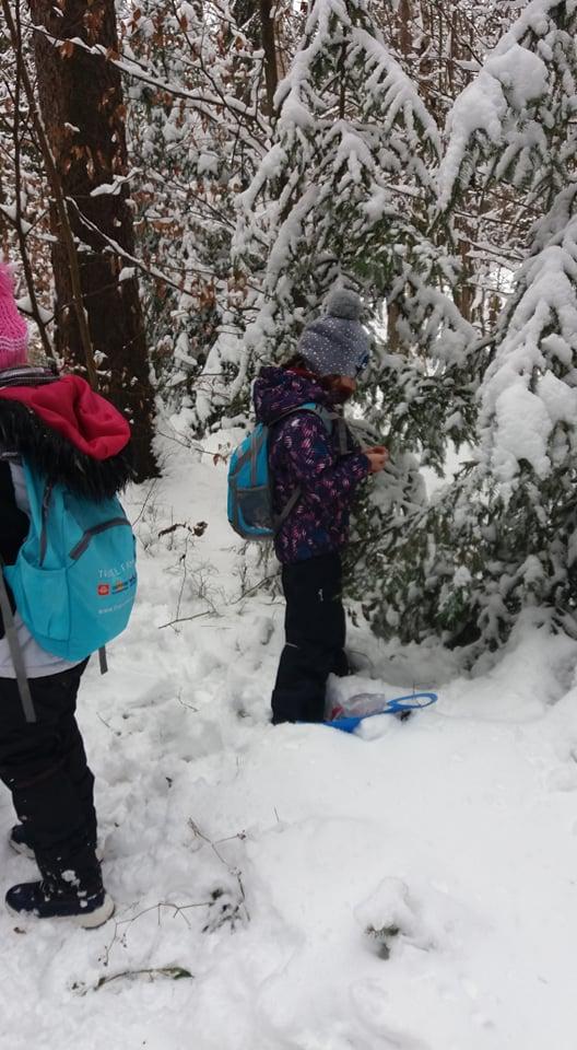 TLAPKY NA ANDRLOVĚ CHLUMU - 45