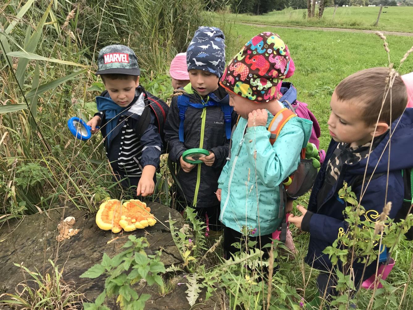 SOVIČKY: ,,VÝPRAVA DO LESA" - 20