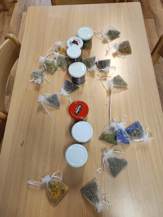 Bylinky - námořníci - 7