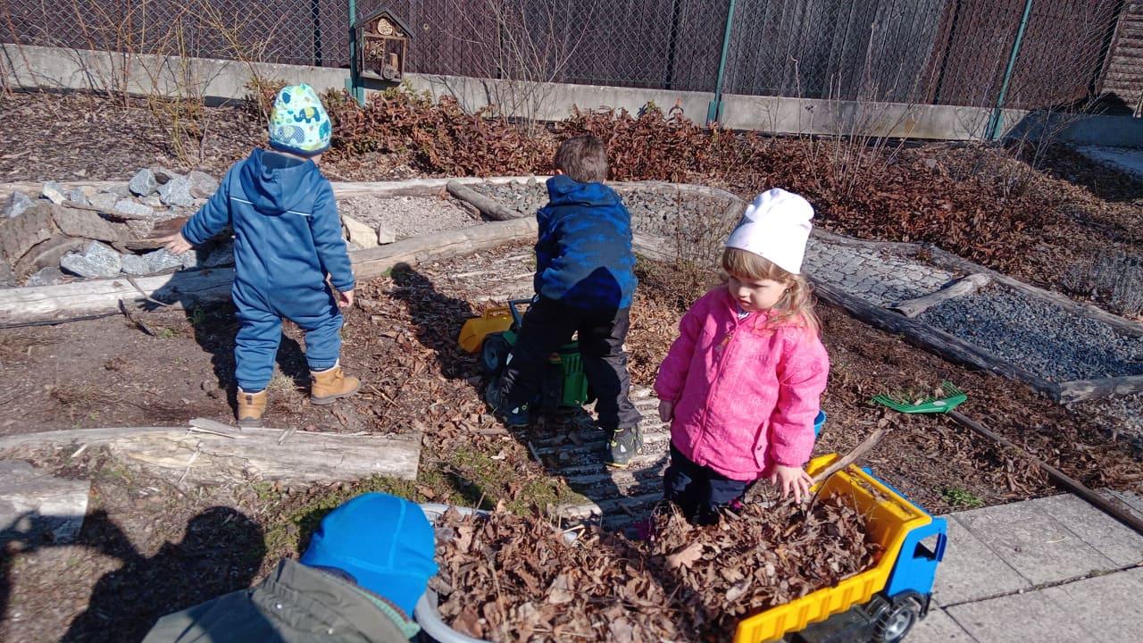 Práce na zahradě - 3